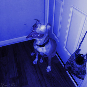 Dear Precious Angel,