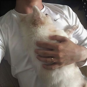 温柔只给意中人