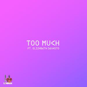 Too Much (feat. Elizabeth DeVasto)