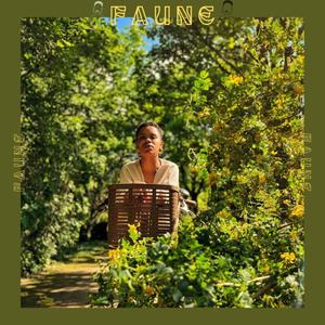 Faune