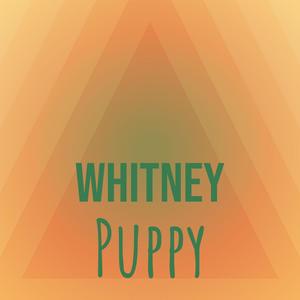 Whitney Puppy