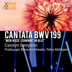 Mein Herze schwimmt im Blut, BWV 199 - Mein Herze schwimmt im Blut, BWV 199: I. Recitativo 