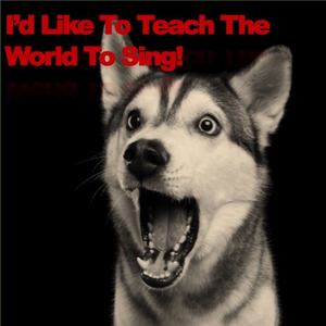 I'd Like To Teach The World To Sing!