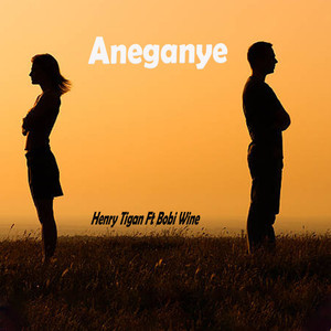 Anegaanye