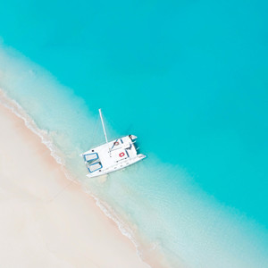 冰壶秋月 - 93.【潜意识疗愈】：春归