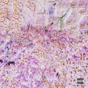 la di do (feat. FRN.) (Explicit)