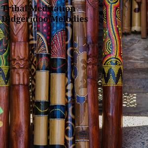 Tribal Meditation Didgeridoo Melodies