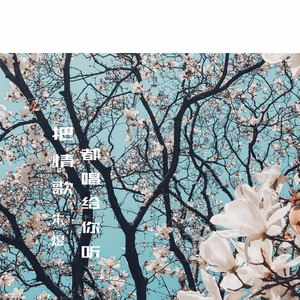 把情歌都唱给你听