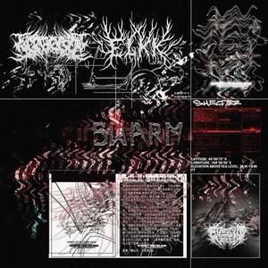 Swarm (feat. Elkk) (Explicit)