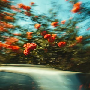 骂醒我-Lyra星&PPR