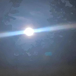 Dumping (feat. Babe8, Ebklulvontae & Tjay500) (Explicit)