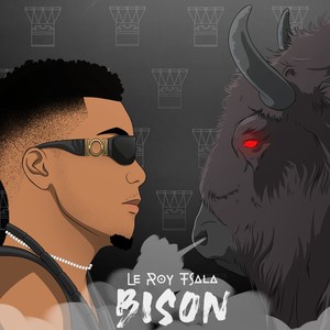 Bison