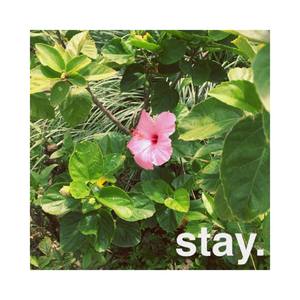 Stay