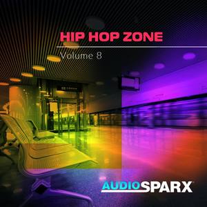 Hip Hop Zone Volume 8