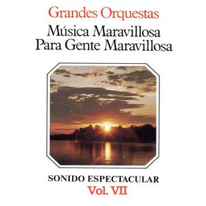 Música Maravillosa para Gente Maravillosa Grandes Orquestas Vol. VII