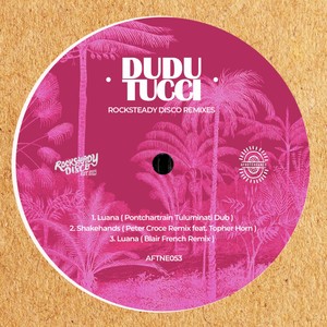 Rocksteady Disco Remixes