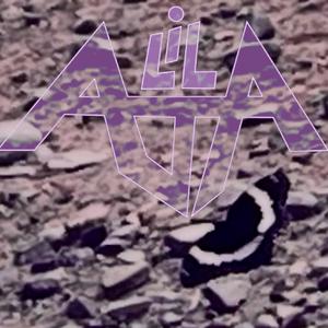 TOO WONKY (Explicit)