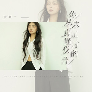 洋澜一 - 你从未真正懂过我的苦
