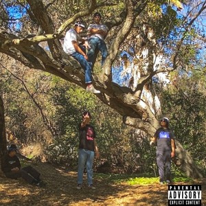 SEE SUM'N (Explicit)