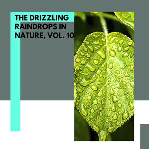 The Drizzling Raindrops in Nature, Vol. 10