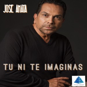 Tu Ni Te Imaginas