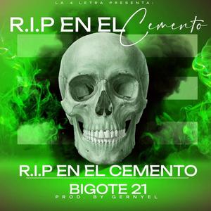 RIP (Explicit)