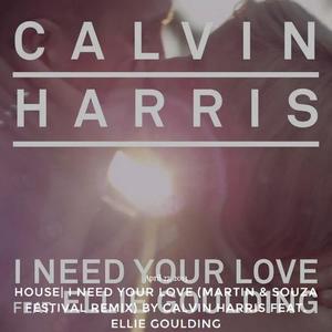I Need Your Love (Martin & Souza Festival Remix)