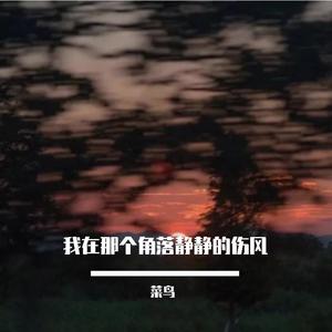 我曾经也躺过床上默默的哭泣