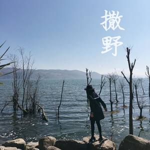 撒野