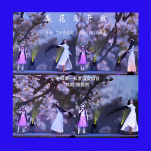 梨花又开放