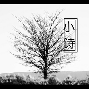 小诗