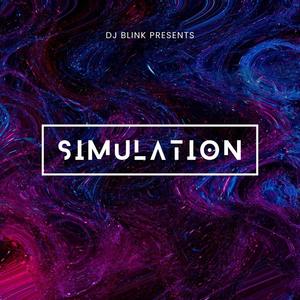 Simulation