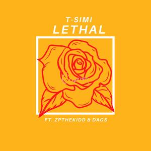 Lethal (feat. DAGS. & ZPthekidd) (Explicit)