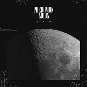 All He Touched Is Dead