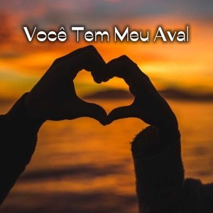 Você Tem Meu Aval
