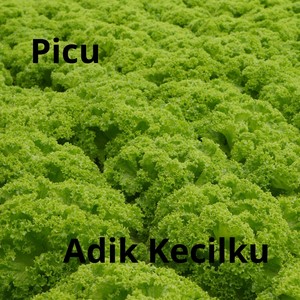 Adik Kecilku