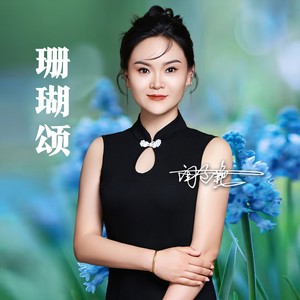 珊瑚颂 (Dj阿阳版)