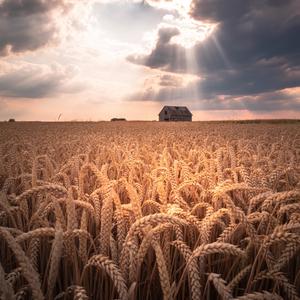 Grace is Enough (Halllowed be thy name)