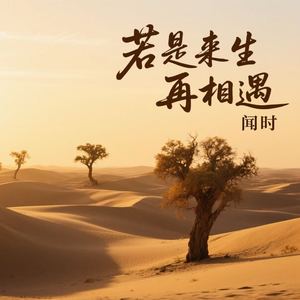 若是来生再相遇