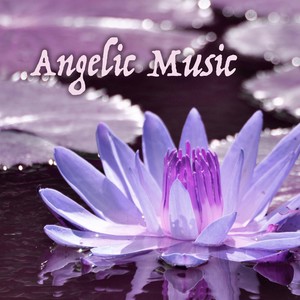 Nature Sounds Relaxation Music