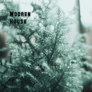 Modren House