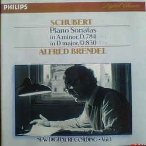 Schubert: Piano Works 1822 - 1828 (舒伯特：钢琴作品集1822 - 1828)