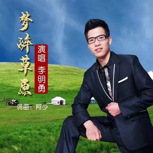 梦醉草原 (DJ何鹏版)封面