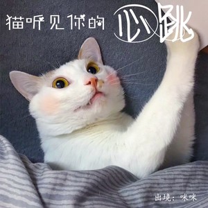 猫听见你的心跳 (纯音版)