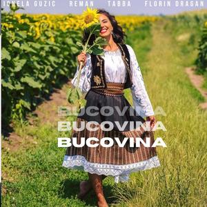 Bucovina