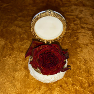 French Perfume (Slow Dance Remix)