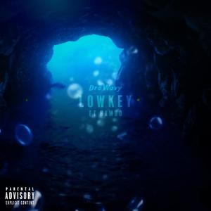 Lowkey (feat. Bambo) (Explicit)