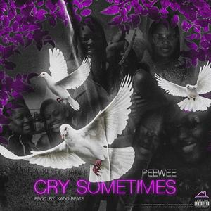 Cry Sometimes (Explicit)