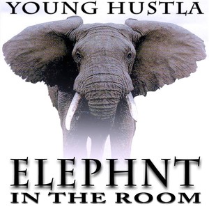 Elephant in the Room