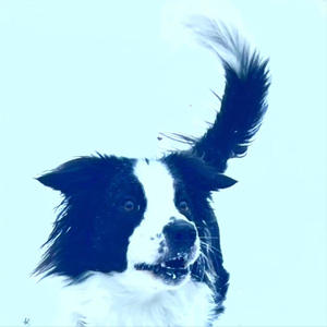 Redpath Circle (Redux)